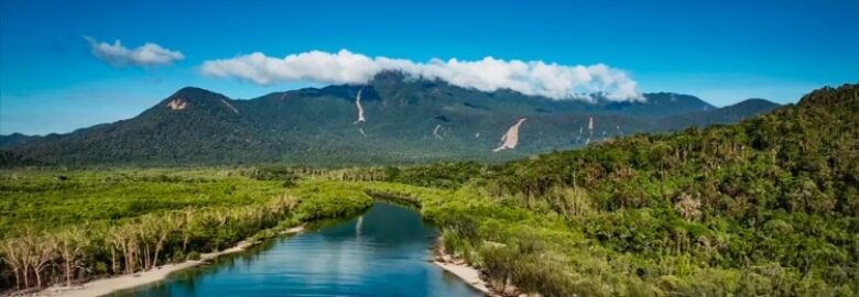 Daintree Rainforest