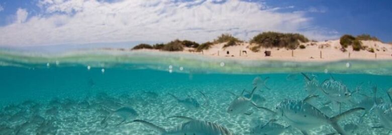 Ningaloo Reef