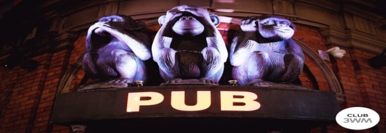 3 Wise Monkeys